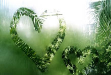 lol全球总决赛-雄鹿横扫公牛，莫兰特带队取胜