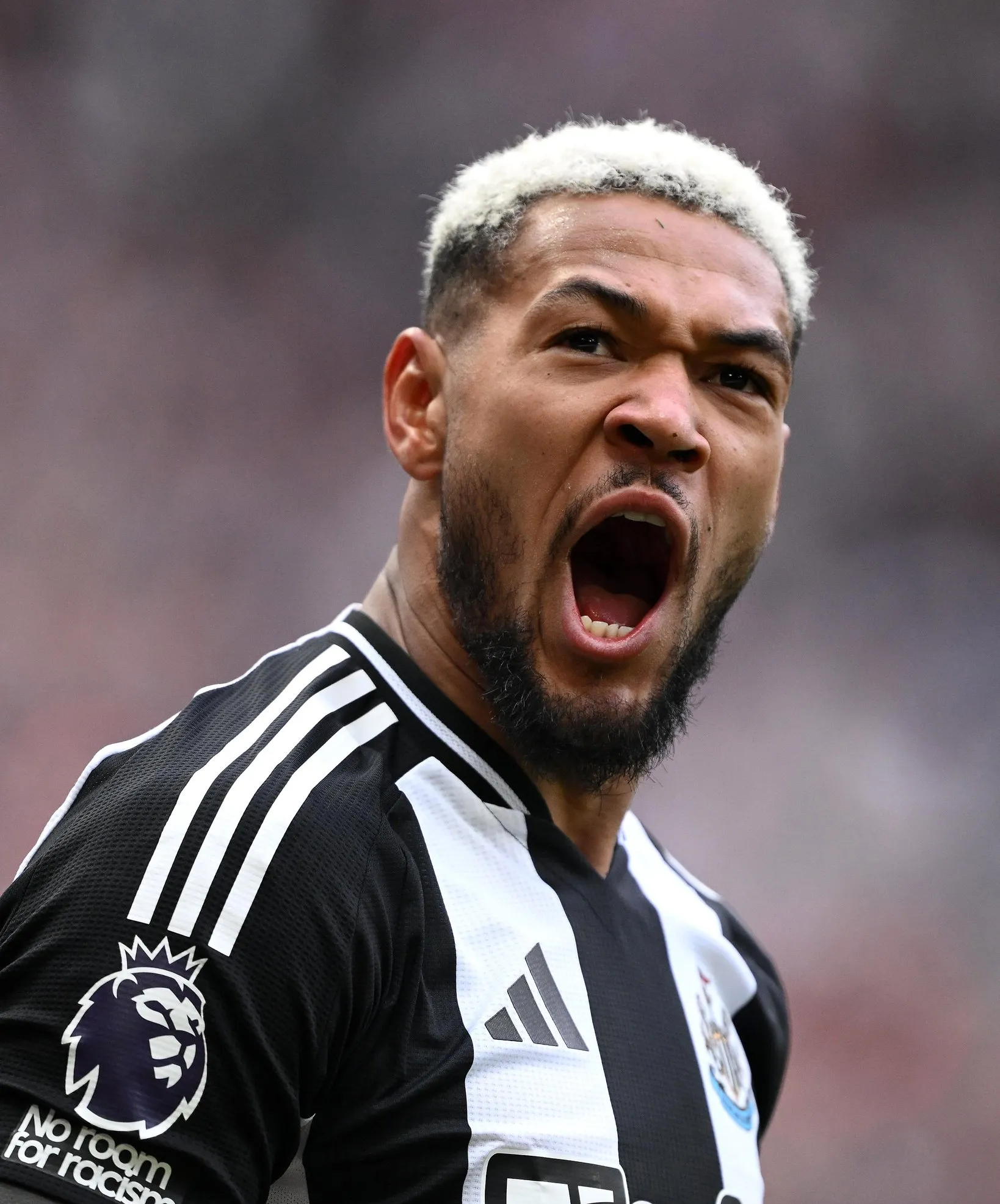 包含纽卡斯尔主场失利,面临保级艰难的词条 包含纽卡斯尔主场失利,面临保级艰难的词条